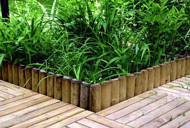 Rollbordery i palisady ogrodowe - sposób na uporządkowanie ogrodu