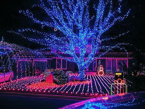 lampki świąteczne, dekoracje do ogrodu, boże narodzenie 2017, świąteczne oświetlenie 